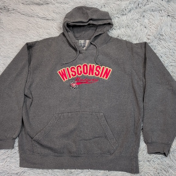 Wisconsin Badgers Sweatshirt Womens L Gray Hoodie Pocket Logo College University - Picture 1 of 10